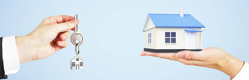 株式会社アイランドプロパティマネジメント